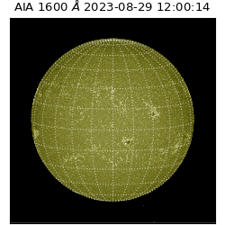saia - 2023-08-29T12:00:14.117000
