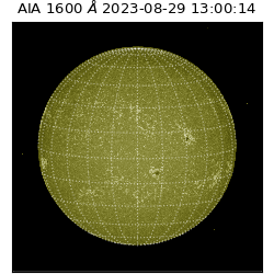 saia - 2023-08-29T13:00:14.125000