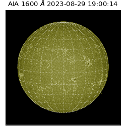 saia - 2023-08-29T19:00:14.129000