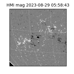 shmi - 2023-08-29T05:58:43.100000