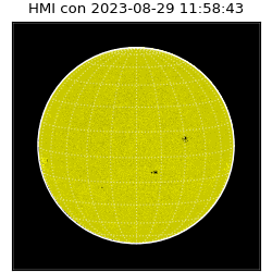 shmi - 2023-08-29T11:58:43