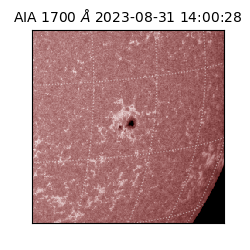 saia - 2023-08-31T14:00:28.468000