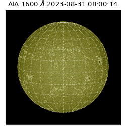 saia - 2023-08-31T08:00:14.126000