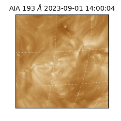 saia - 2023-09-01T14:00:04.843000