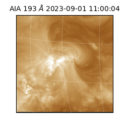 saia - 2023-09-01T11:00:04.843000