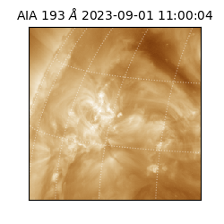 saia - 2023-09-01T11:00:04.843000