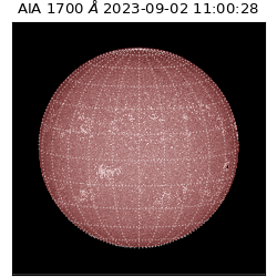 saia - 2023-09-02T11:00:28.442000