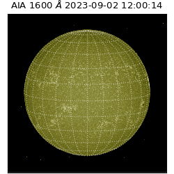 saia - 2023-09-02T12:00:14.126000
