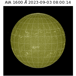 saia - 2023-09-03T08:00:14.126000