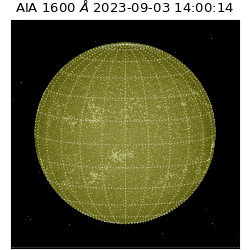 saia - 2023-09-03T14:00:14.126000