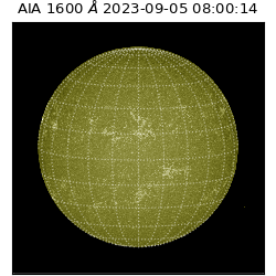 saia - 2023-09-05T08:00:14.126000