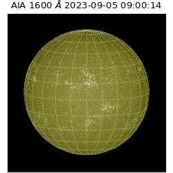 saia - 2023-09-05T09:00:14.126000