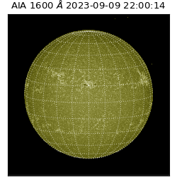 saia - 2023-09-09T22:00:14.126000