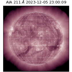 saia - 2023-12-05T23:00:09.630000