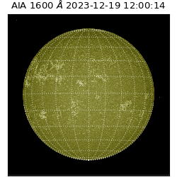 saia - 2023-12-19T12:00:14.126000