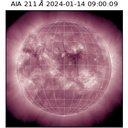 saia - 2024-01-14T09:00:09.626000