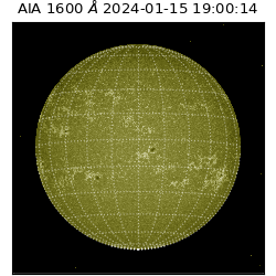 saia - 2024-01-15T19:00:14.132000