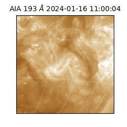 saia - 2024-01-16T11:00:04.843000