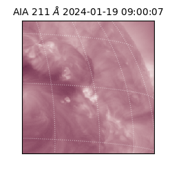 saia - 2024-01-19T09:00:07.460000