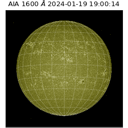 saia - 2024-01-19T19:00:14.126000