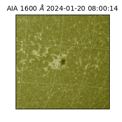 saia - 2024-01-20T08:00:14.125000