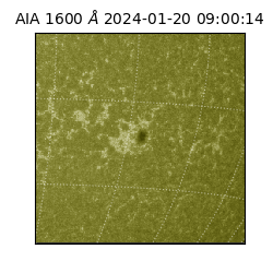 saia - 2024-01-20T09:00:14.126000