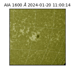 saia - 2024-01-20T11:00:14.126000