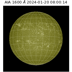 saia - 2024-01-20T08:00:14.125000