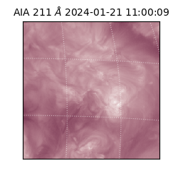 saia - 2024-01-21T11:00:09.626000