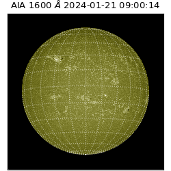 saia - 2024-01-21T09:00:14.129000