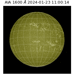 saia - 2024-01-23T11:00:14.126000