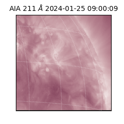 saia - 2024-01-25T09:00:09.626000