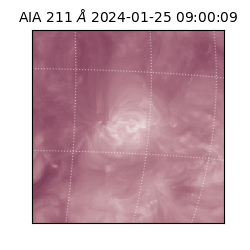 saia - 2024-01-25T09:00:09.626000