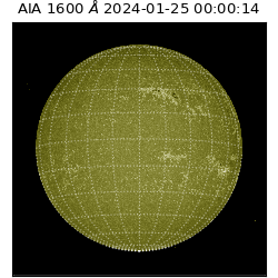saia - 2024-01-25T00:00:14.133000