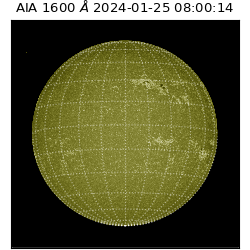 saia - 2024-01-25T08:00:14.126000