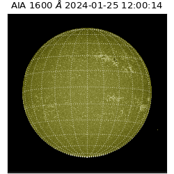 saia - 2024-01-25T12:00:14.126000
