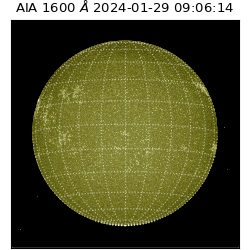 saia - 2024-01-29T09:06:14.132000