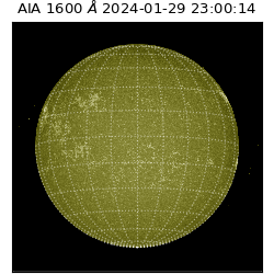 saia - 2024-01-29T23:00:14.126000