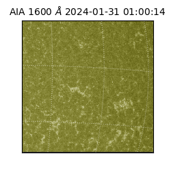 saia - 2024-01-31T01:00:14.118000