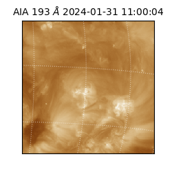 saia - 2024-01-31T11:00:04.843000