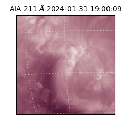 saia - 2024-01-31T19:00:09.626000