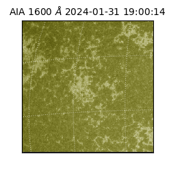 saia - 2024-01-31T19:00:14.126000