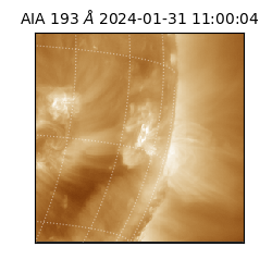 saia - 2024-01-31T11:00:04.843000