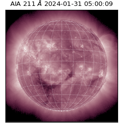 saia - 2024-01-31T05:00:09.626000