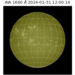 saia - 2024-01-31T12:00:14.126000