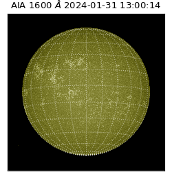 saia - 2024-01-31T13:00:14.126000