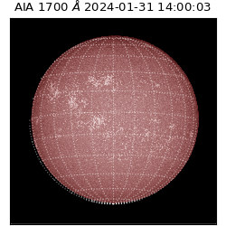 saia - 2024-01-31T14:00:03.718000