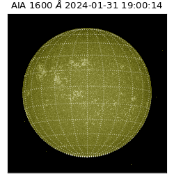 saia - 2024-01-31T19:00:14.126000