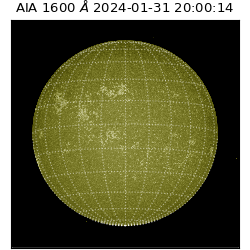 saia - 2024-01-31T20:00:14.130000