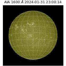 saia - 2024-01-31T23:00:14.126000